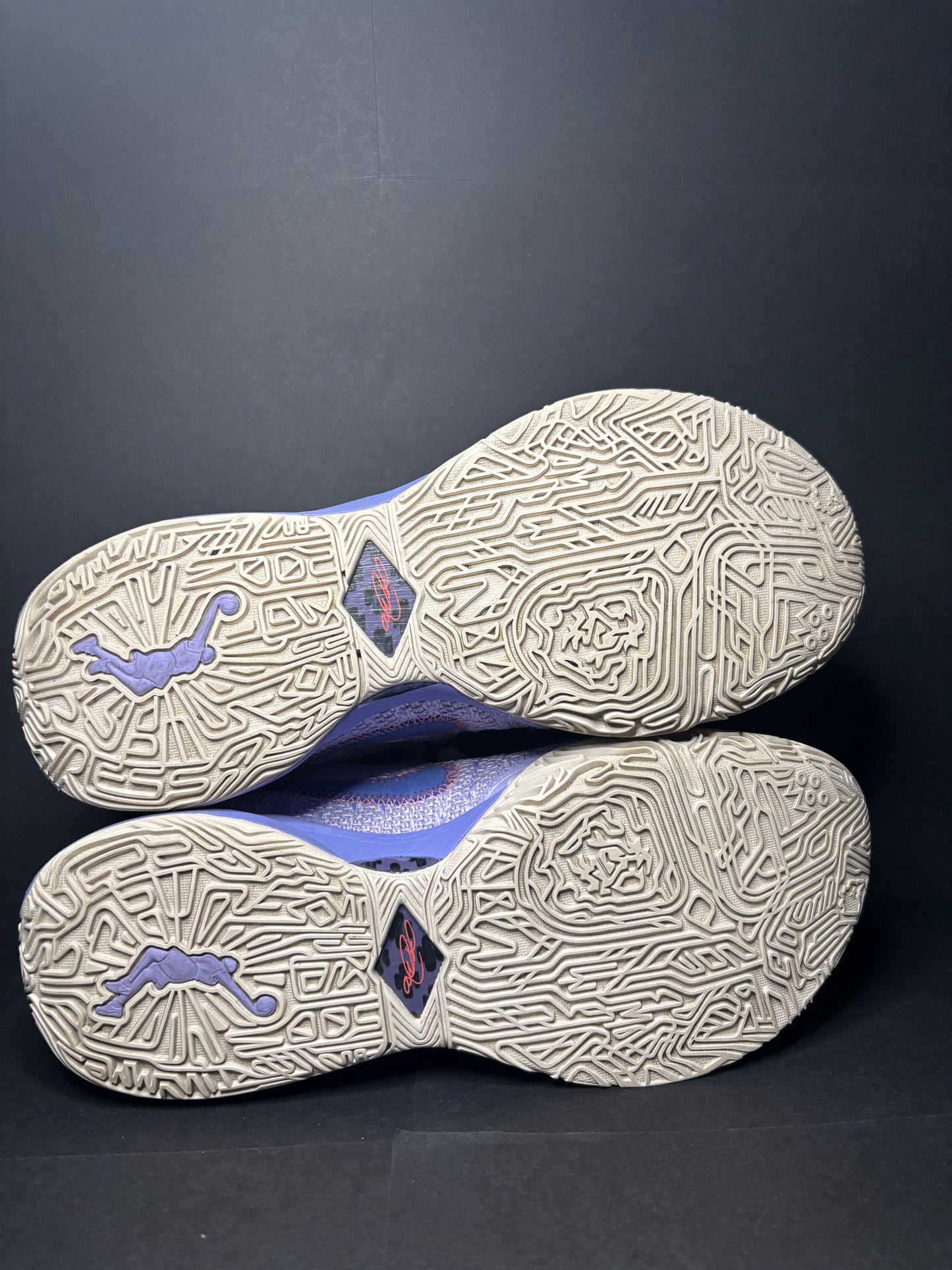 Nike Lebron 20 ‘Violet Frost’